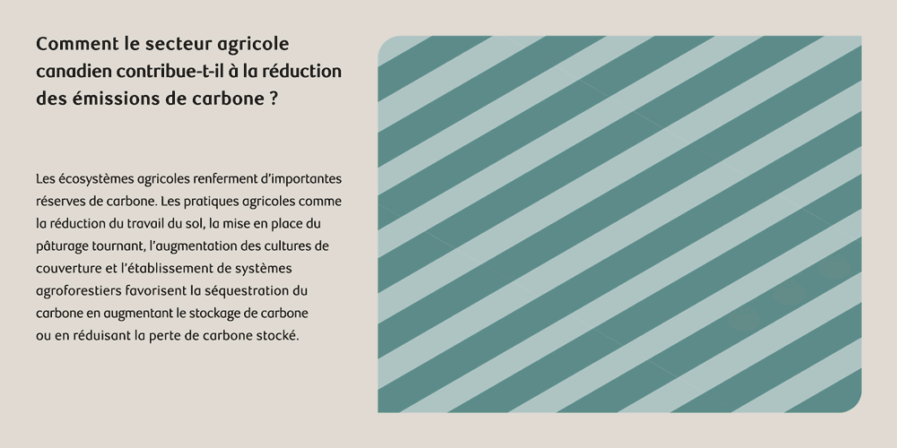 Un graphique illustrant comment l’industrie agricole au Canada contribue à réduire les émissions de carbone.